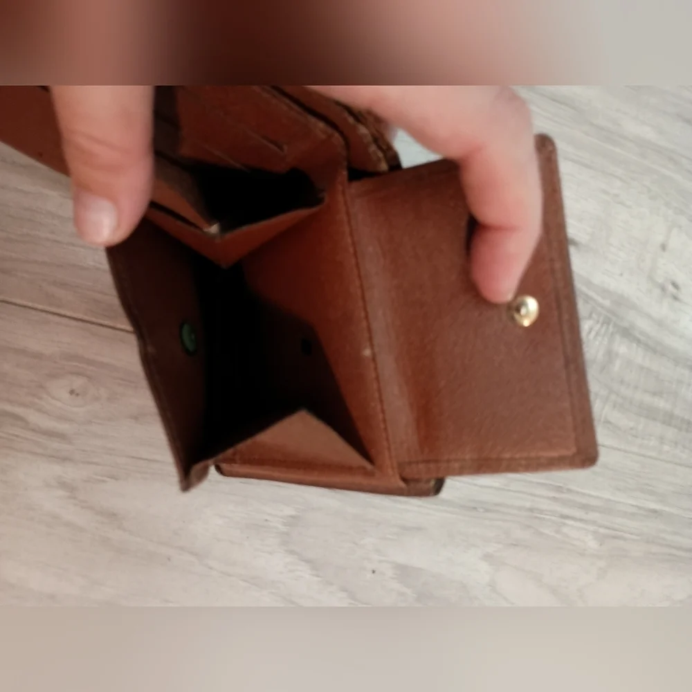 Louis Vuitton elegant louis